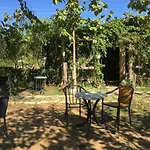 Campingplads Vjosa Rafting & Eco Camping Albturist & Outdoor Sports Center Përmet