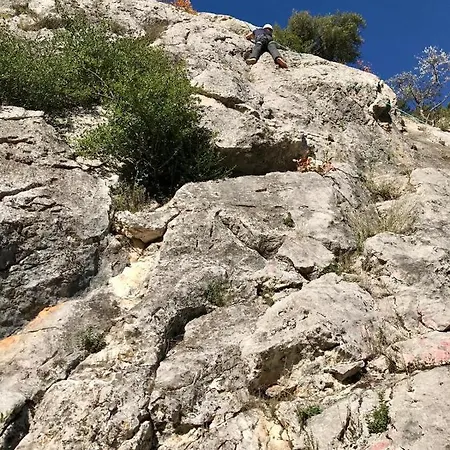 キャンプ場 Albturist Ecocamping & Outdoor Sports Center *