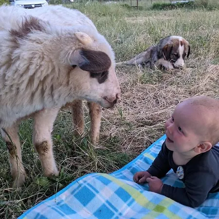 Vjosa Rafting & Eco Albturist & Outdoor Sports Center אתר קמפינג Përmet