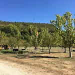 Vjosa Rafting & Eco Albturist & Outdoor Sports Center אתר קמפינג